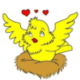 cropped-logo01-1.png